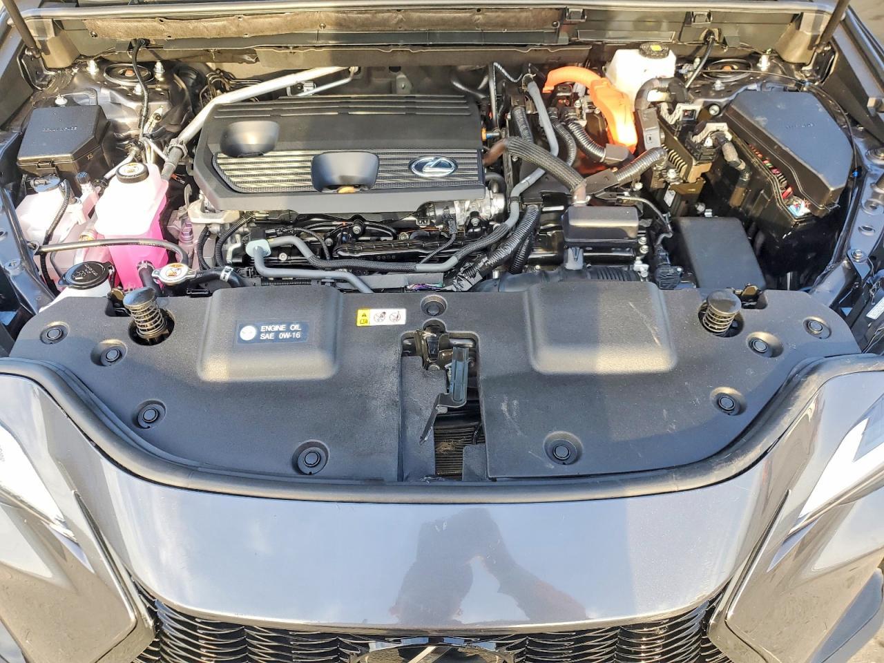 2025 Lexus Nx 350H Premium - zdjęcie 12