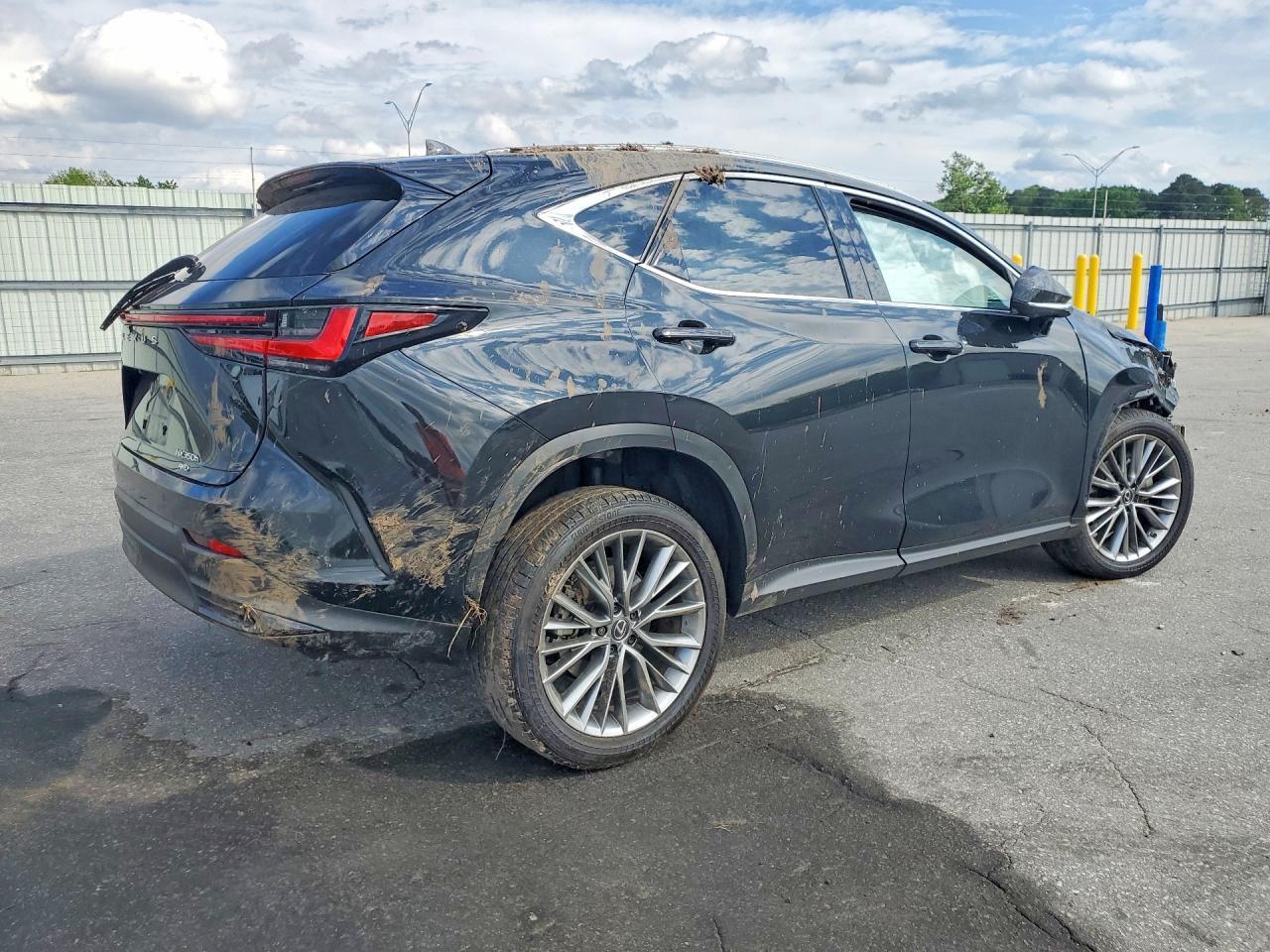 2025 Lexus Nx 350H Luxury - zdjęcie 3
