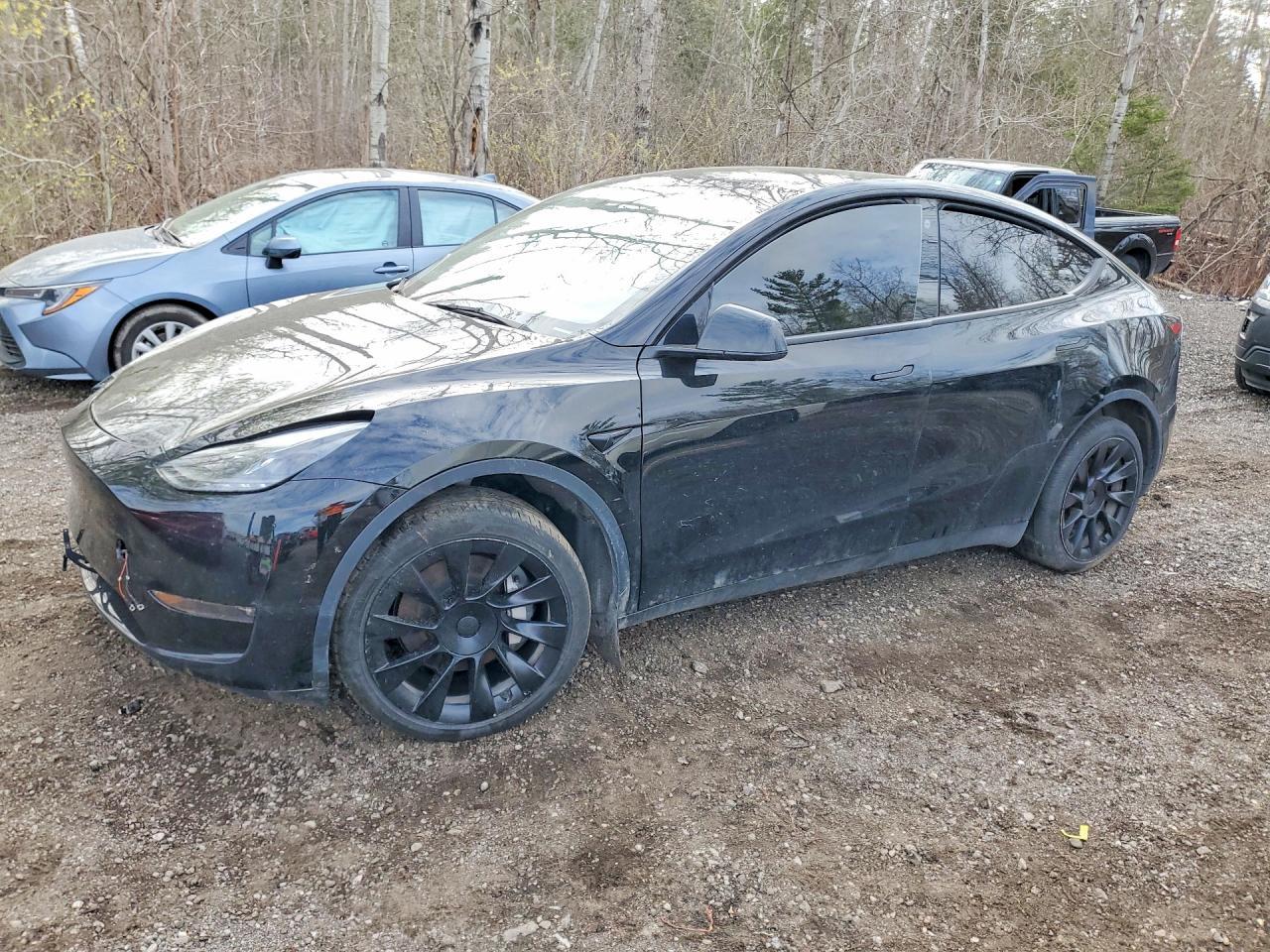 2023 Tesla Model Y - zdjęcie główne