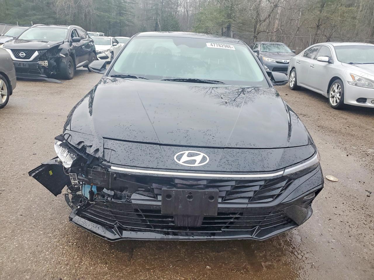 2026 Hyundai Elantra Hybrid Limited - zdjęcie 5