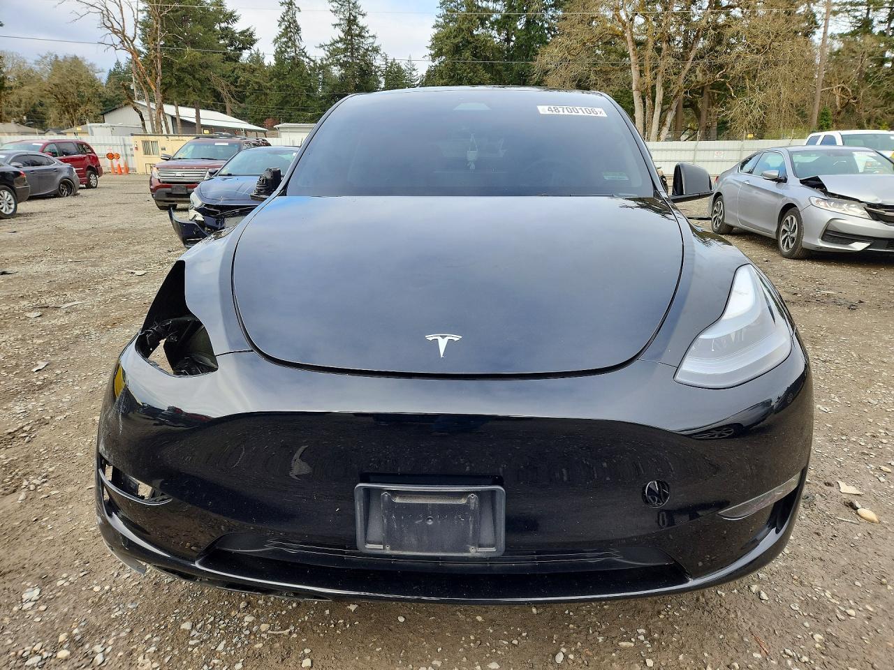 2024 Tesla Model Y - zdjęcie 5