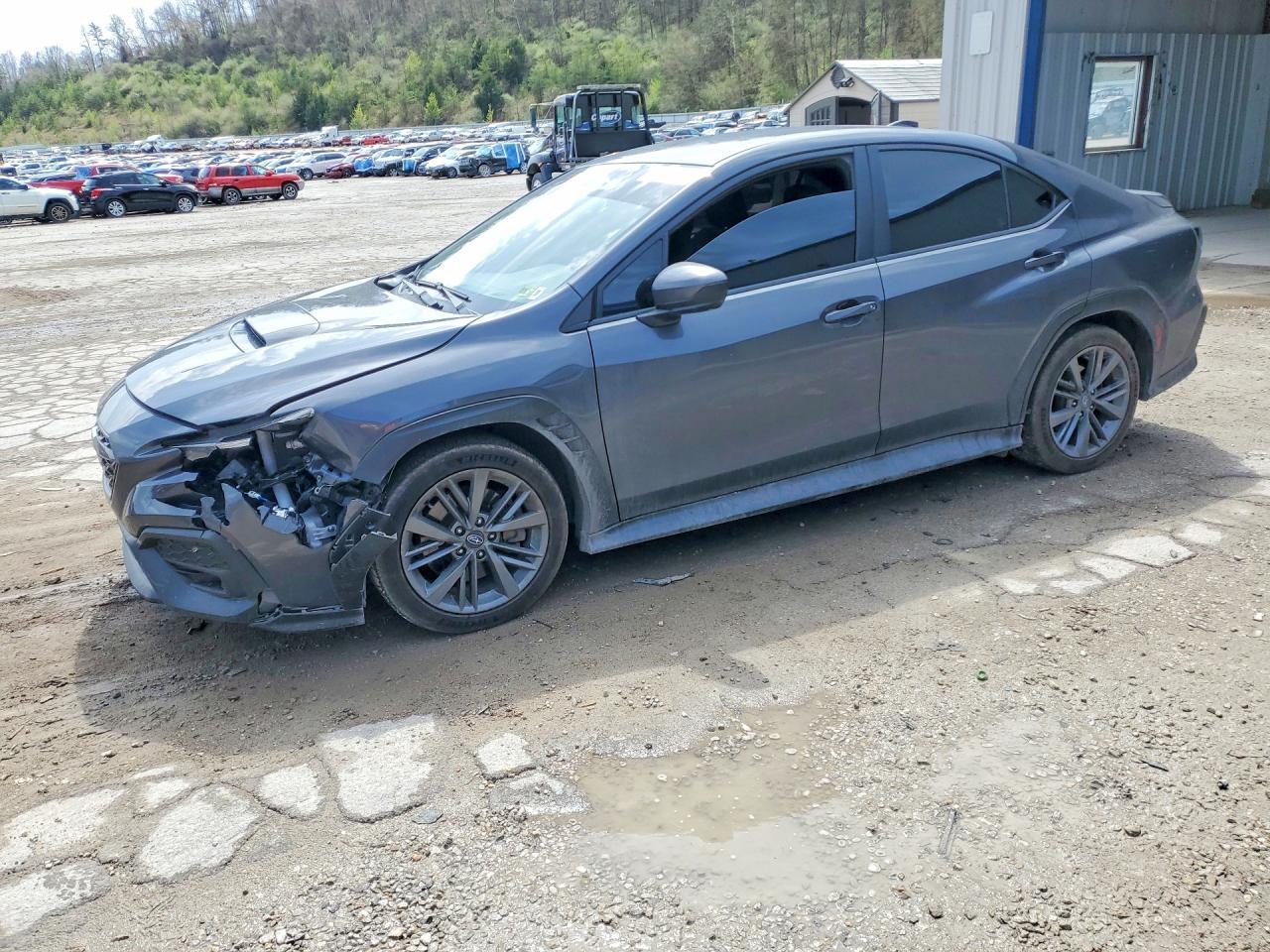 2024 Subaru Wrx - zdjęcie główne
