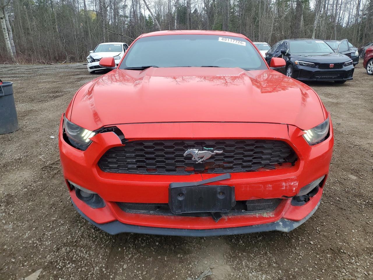 2016 Ford Mustang 2Dr - zdjęcie 5