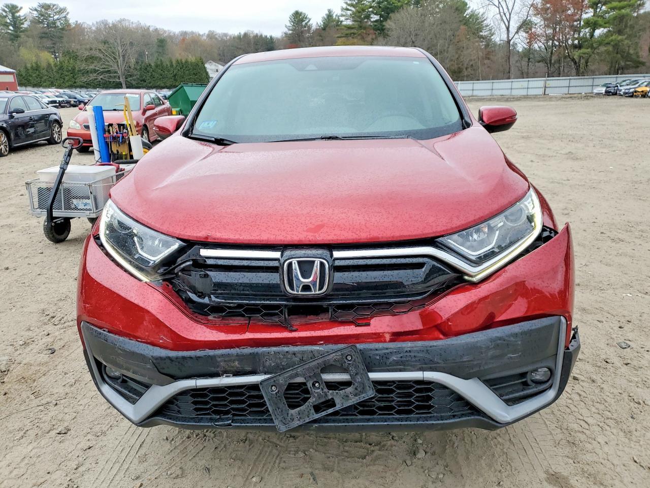 2022 Honda Cr-V Ex - zdjęcie 5