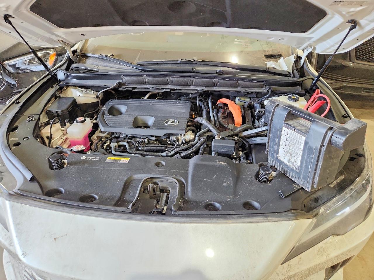 2024 Lexus Rx 350H Base - zdjęcie 11