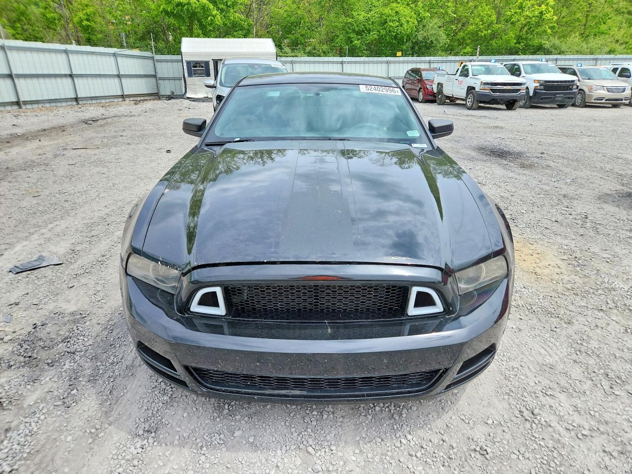 2014 Ford Mustang - zdjęcie 5