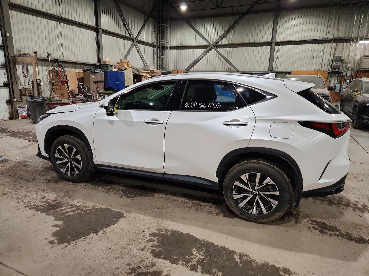 2025 Lexus Nx 250 Premium - zdjęcie 2