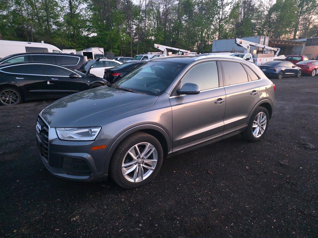 2016 Audi Q3 Premium Plus - zdjęcie 2