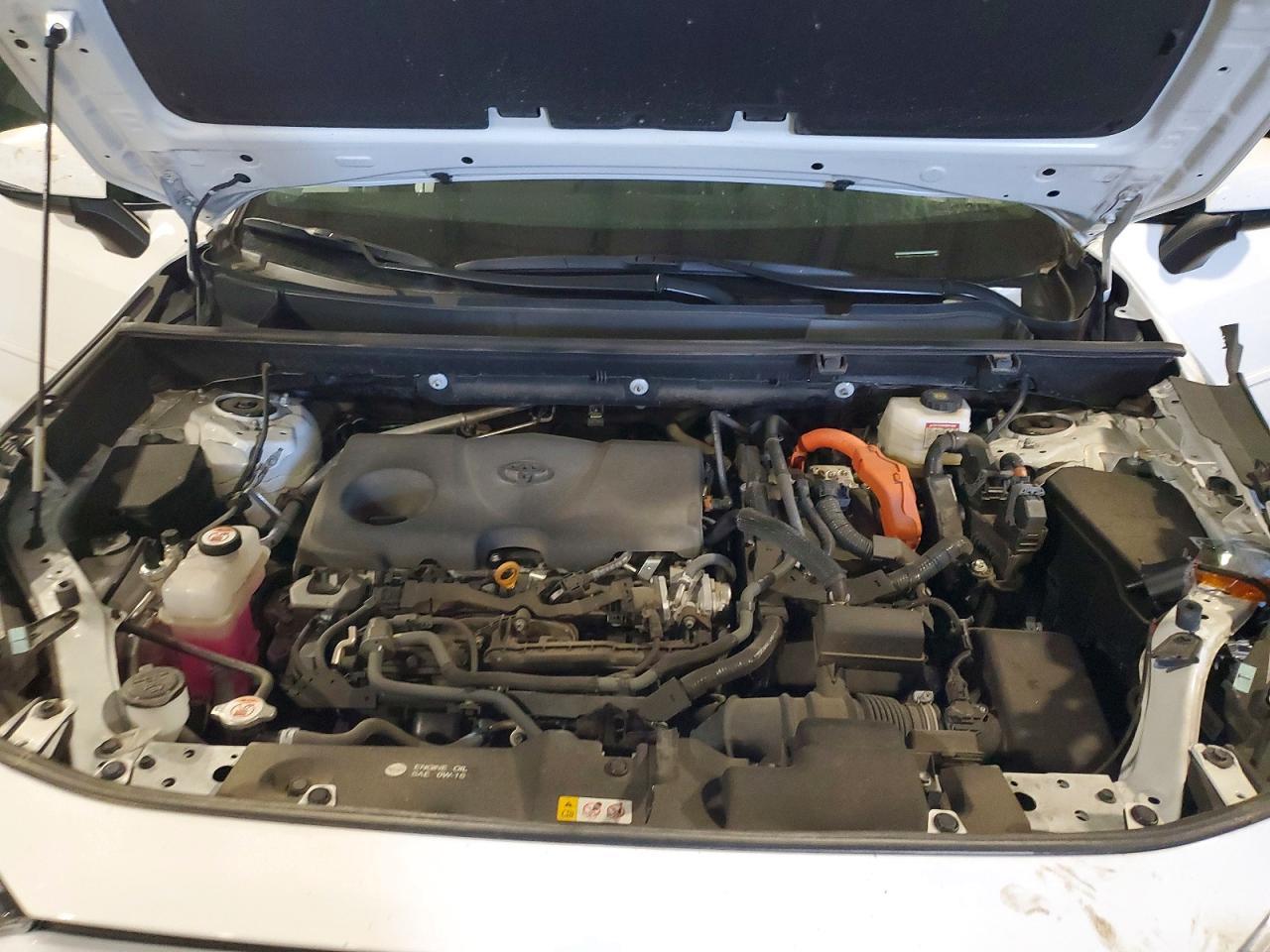 2024 Toyota Rav4 Hybrid Xle - zdjęcie 12