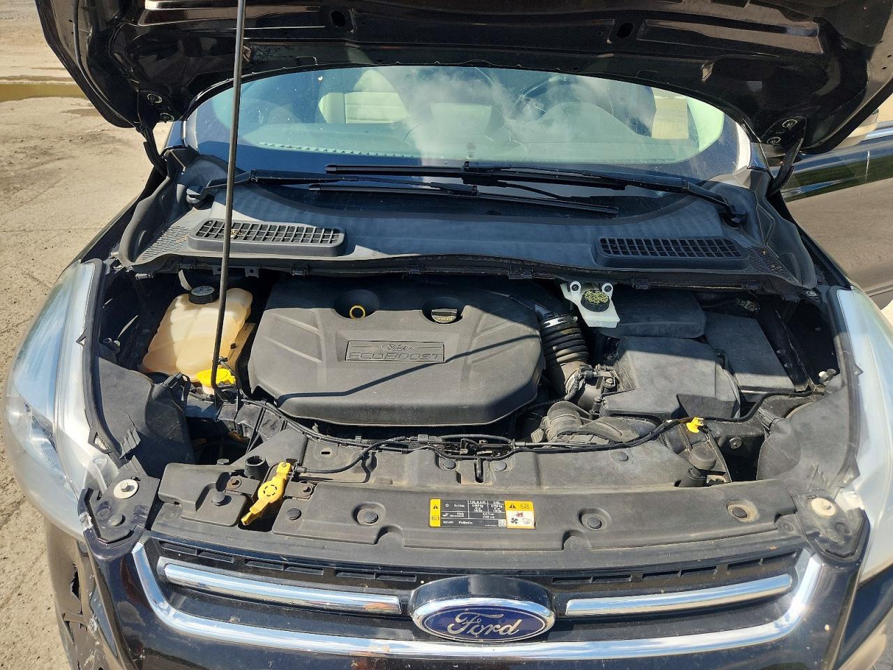 2013 Ford Escape Sel - zdjęcie 12