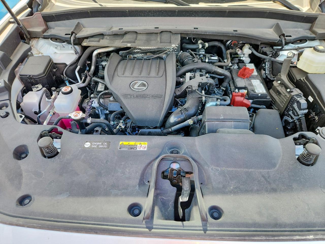 2024 Lexus Tx 350 Base - zdjęcie 12