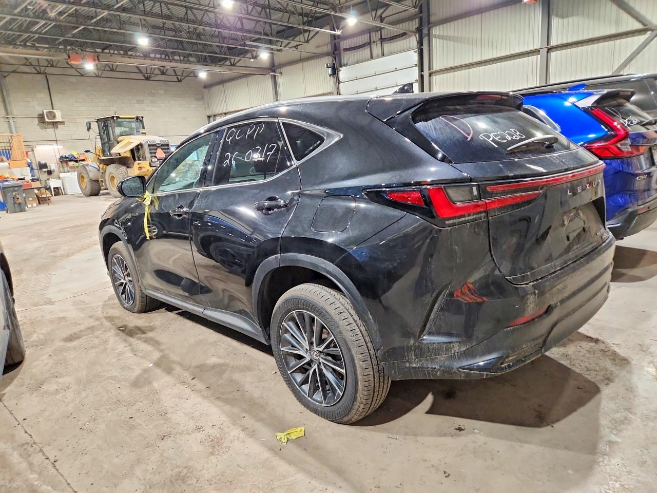 2025 Lexus Nx 350 Premium - zdjęcie 2
