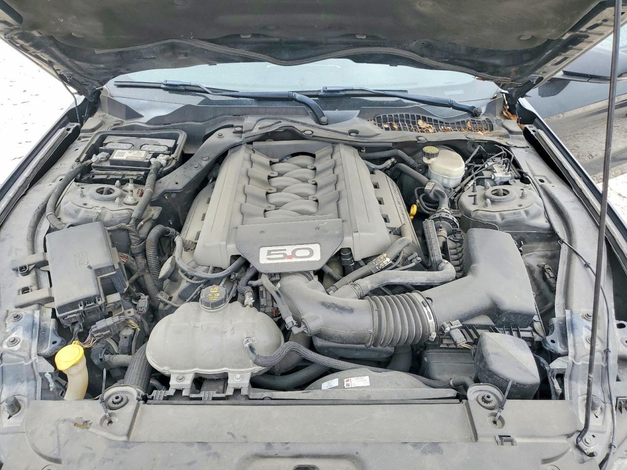 2017 Ford Mustang Gt - zdjęcie 11