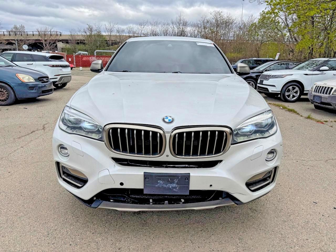 2017 BMW X6 xDrive50I - zdjęcie 11