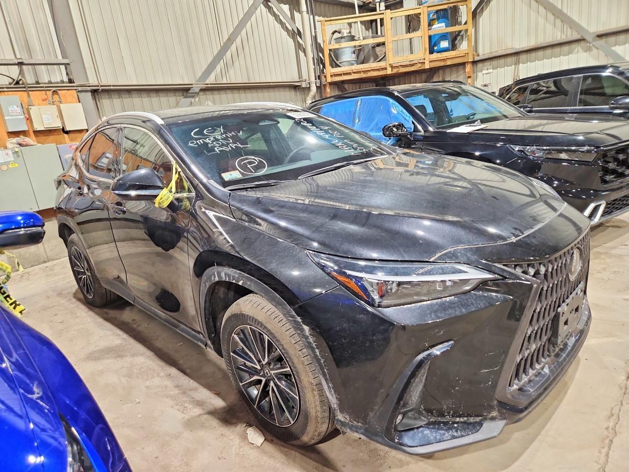 2025 Lexus Nx 350 Premium - zdjęcie 4