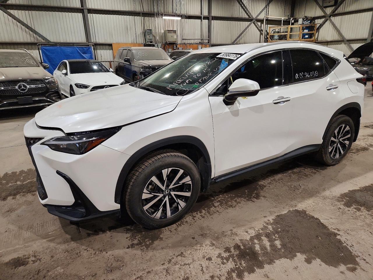 2025 Lexus Nx 250 Premium - zdjęcie główne