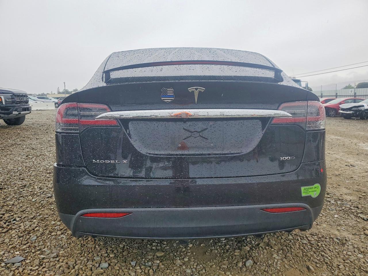 2017 Tesla Model X - zdjęcie 6