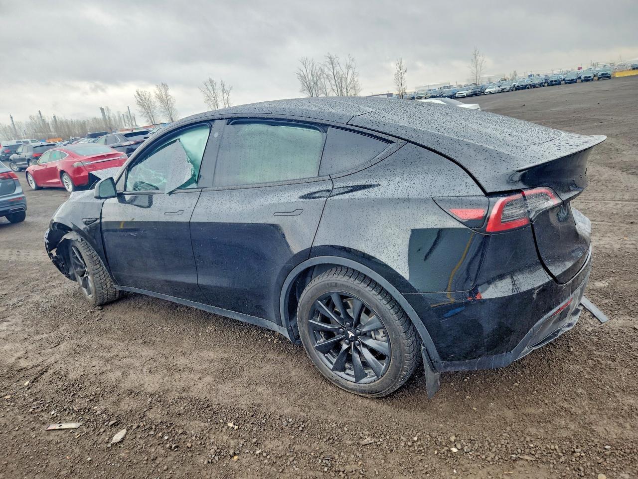 2023 Tesla Model Y - zdjęcie 2