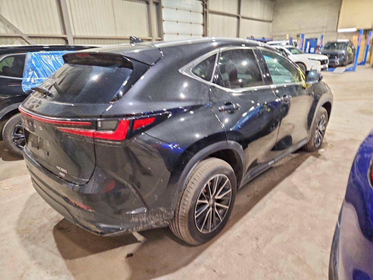 2025 Lexus Nx 350 Premium - zdjęcie 3