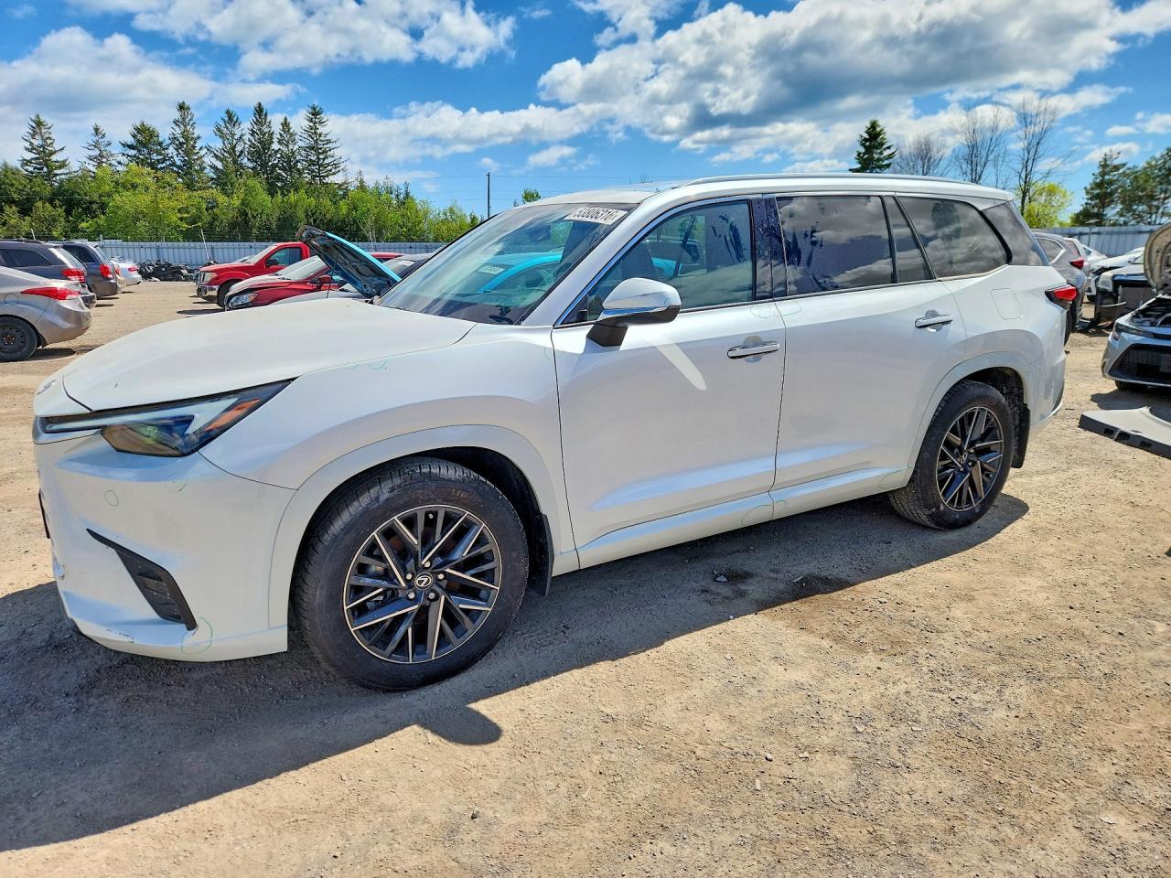 2024 Lexus Tx 350 Base - zdjęcie główne