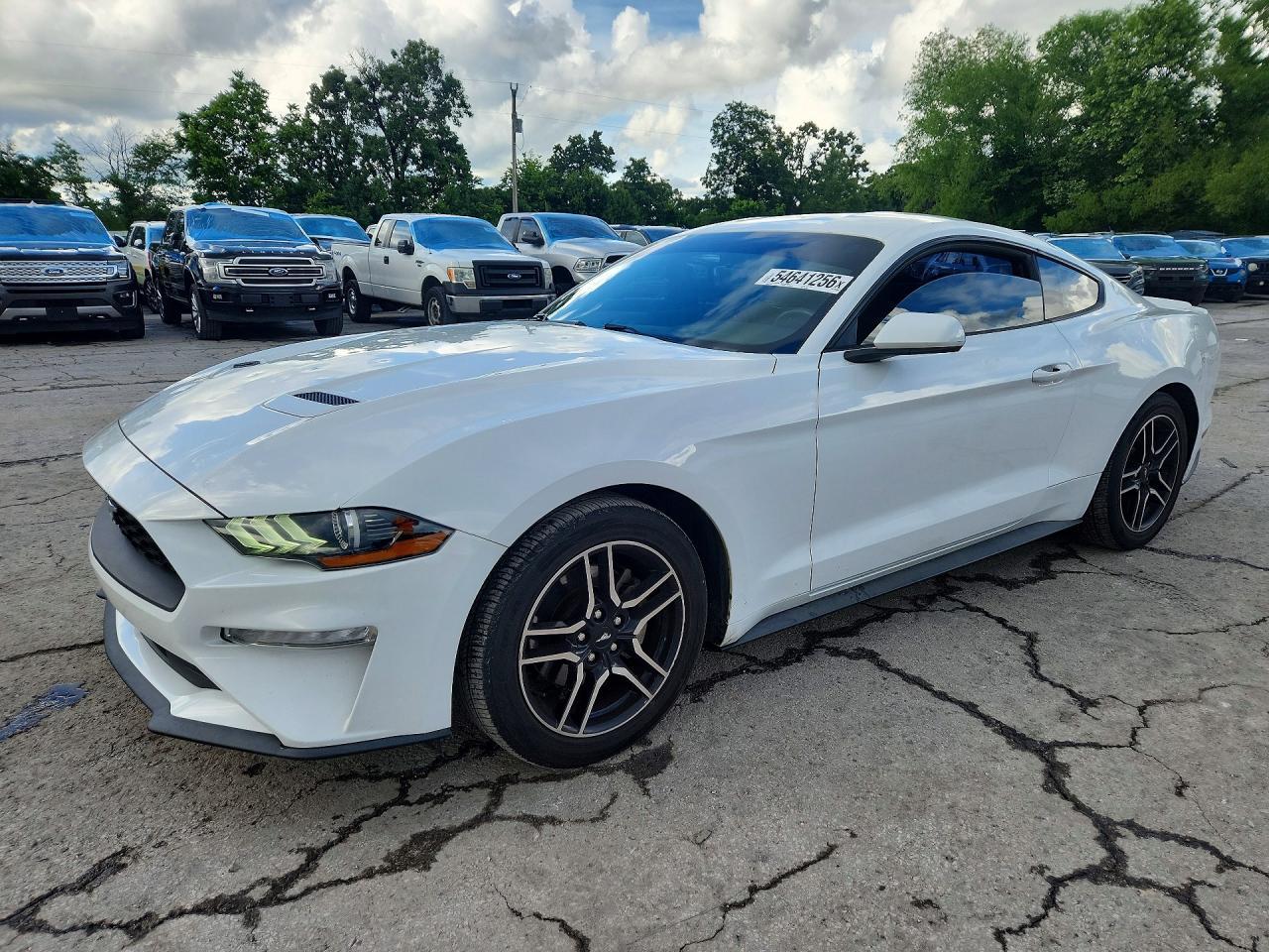2019 Ford Mustang - zdjęcie główne