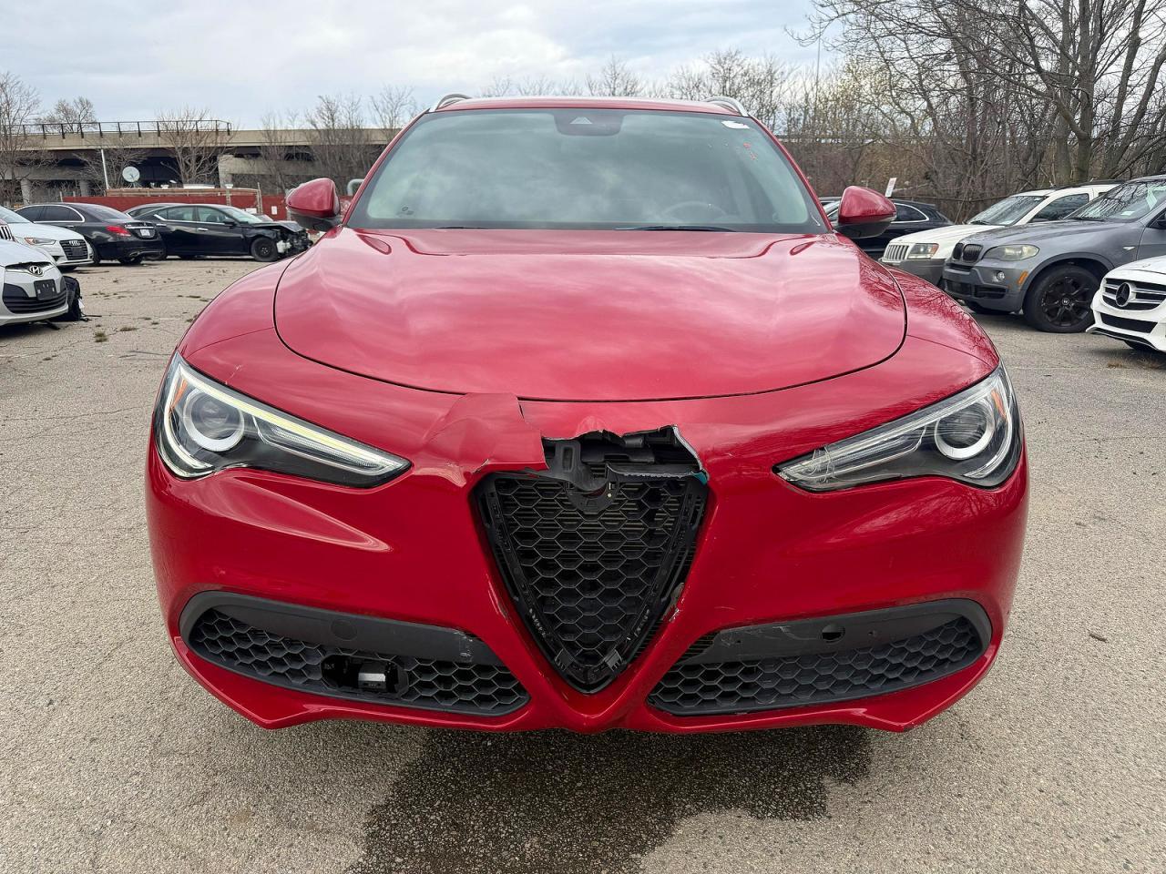 2021 Alfa Romeo Stelvio - zdjęcie 12