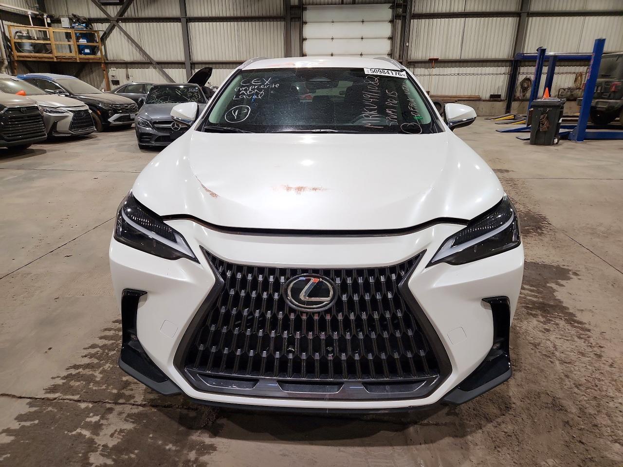 2025 Lexus Nx 250 Premium - zdjęcie 5