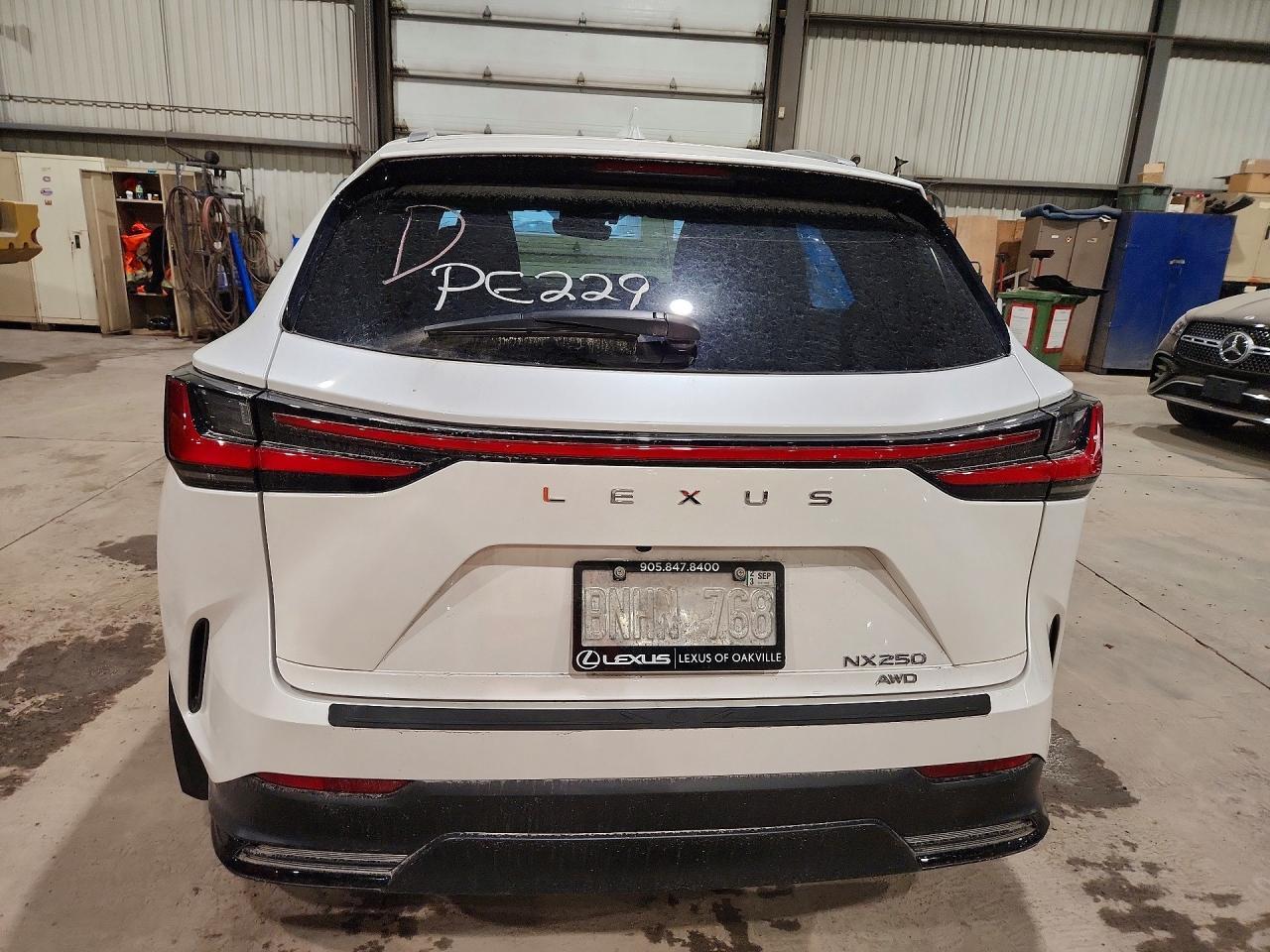 2025 Lexus Nx 250 Premium - zdjęcie 6