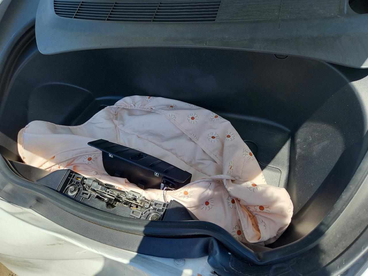 2019 Tesla Model 3 - zdjęcie 11