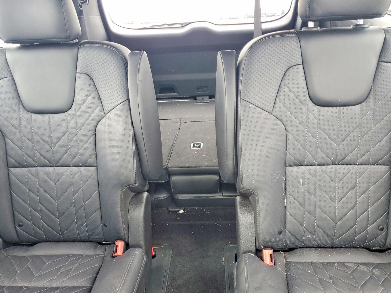 2023 Kia Telluride Sx-Prestige X-Pro - zdjęcie 10