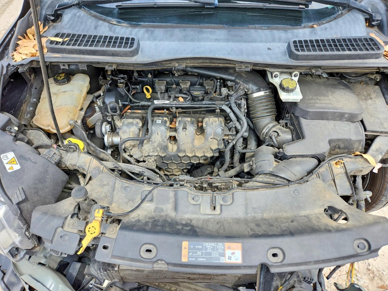 2015 Ford Escape Titanium - zdjęcie 12