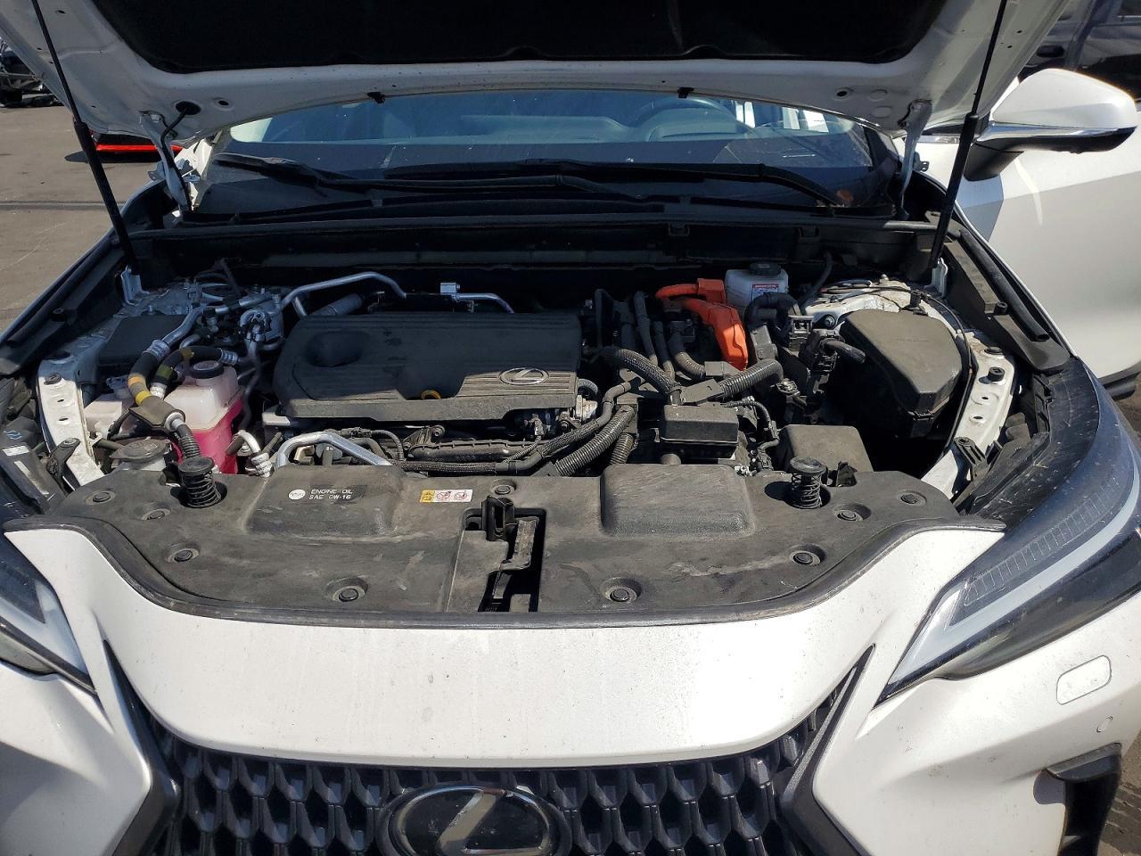 2024 Lexus Nx 450H+ Base - zdjęcie 12