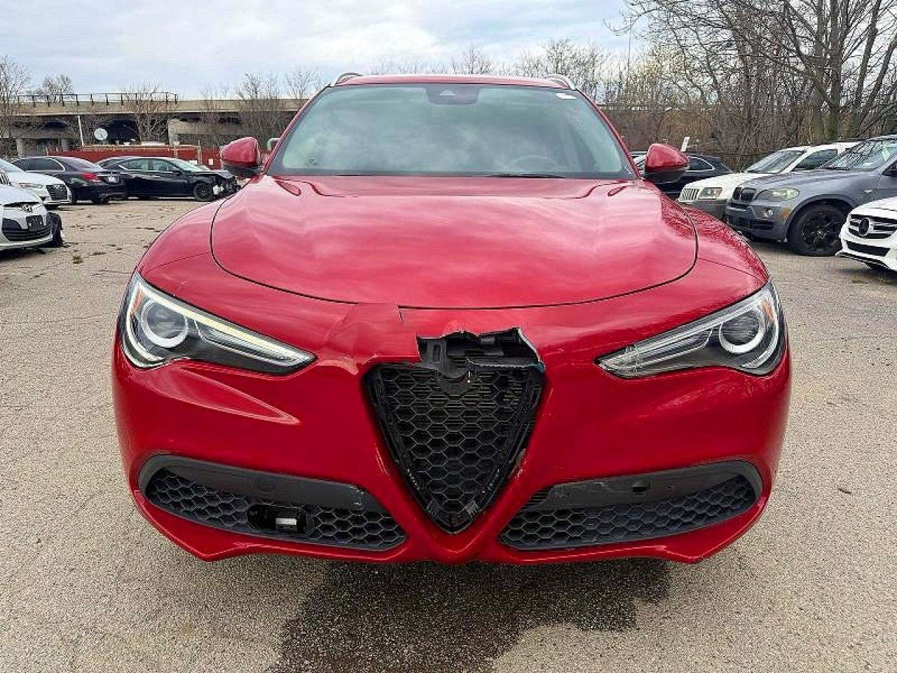 2021 Alfa Romeo Stelvio - zdjęcie 7