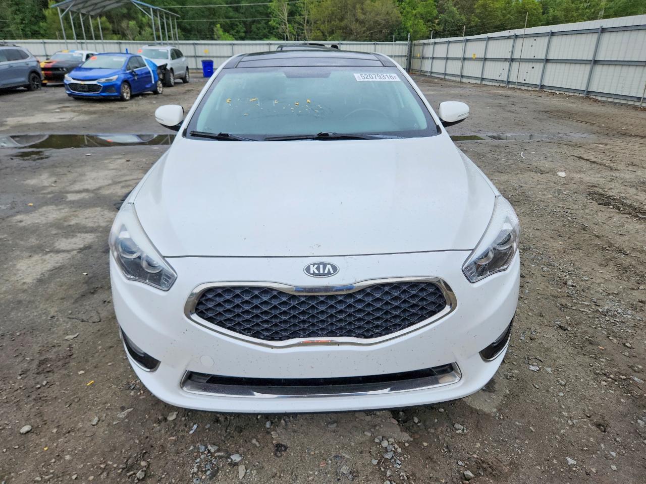 2014 Kia Cadenza Premium - zdjęcie 5