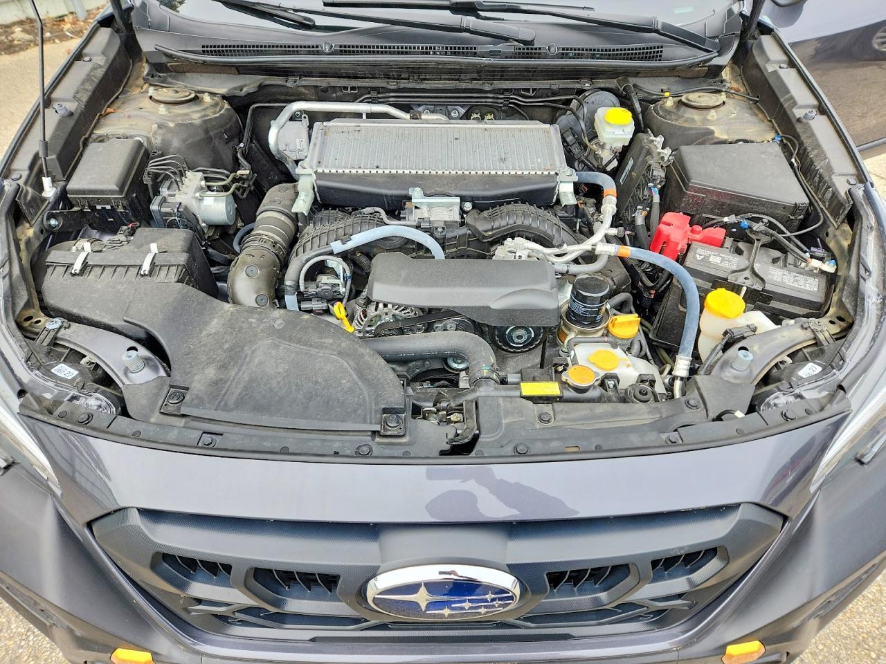 2025 Subaru Outback Wilderness - zdjęcie 12