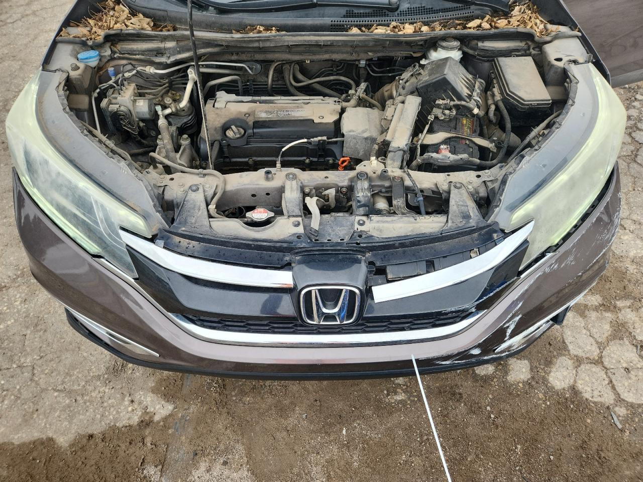 2015 Honda Cr-V Exl - zdjęcie 12