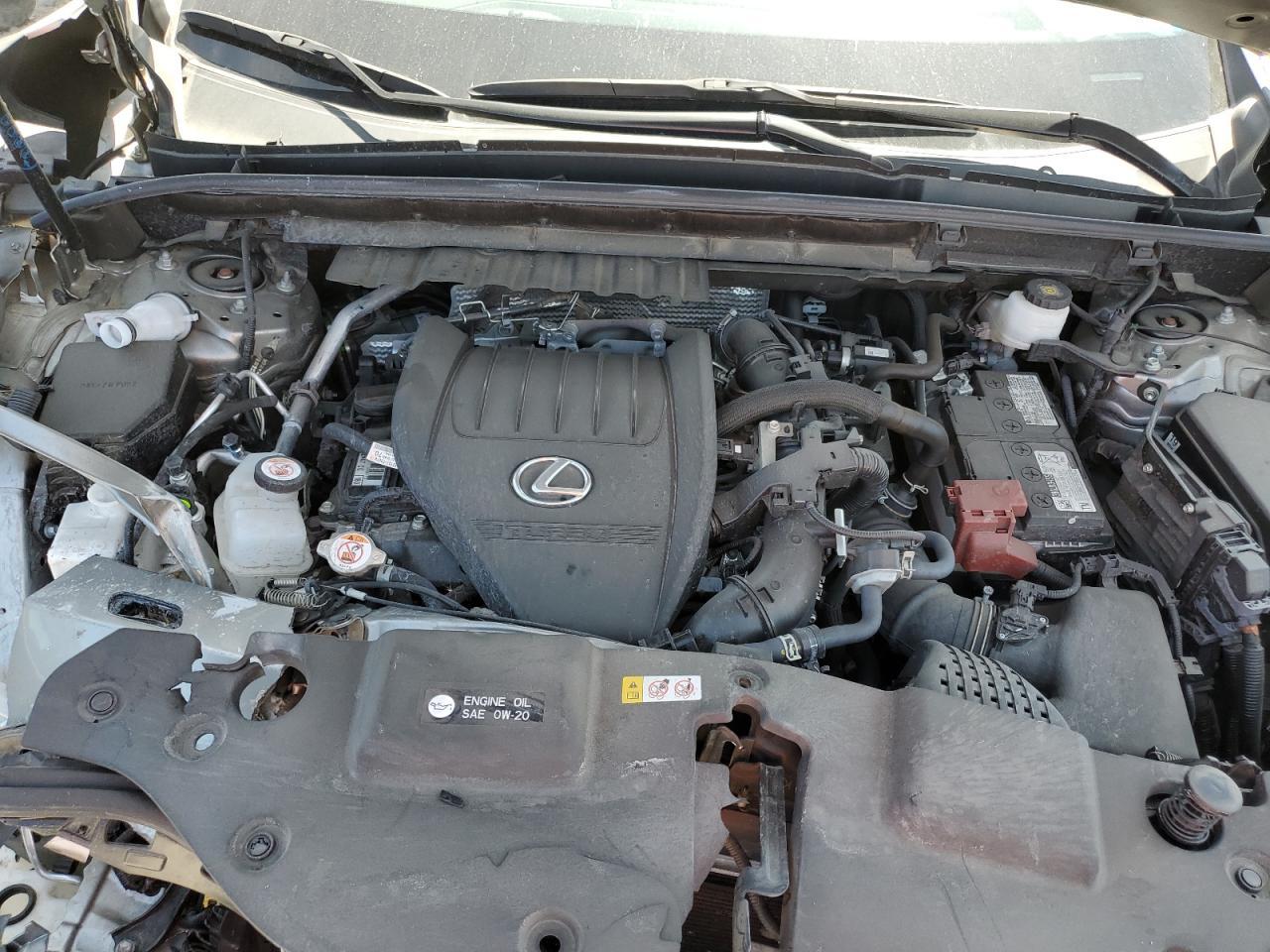 2024 Lexus Nx 350 Luxury 350 Luxury - zdjęcie 12