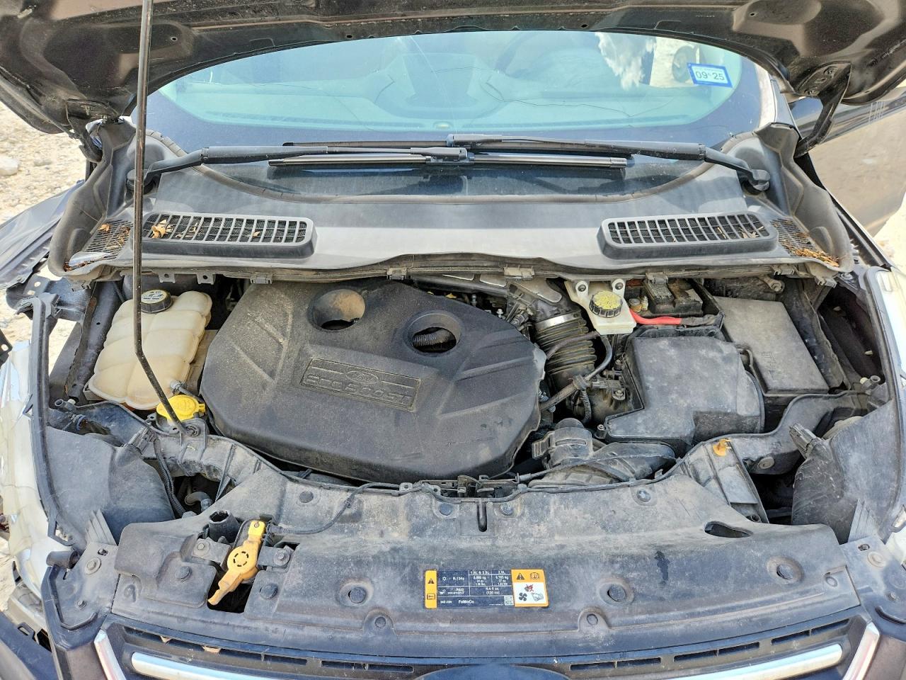 2013 Ford Escape Sel - zdjęcie 12