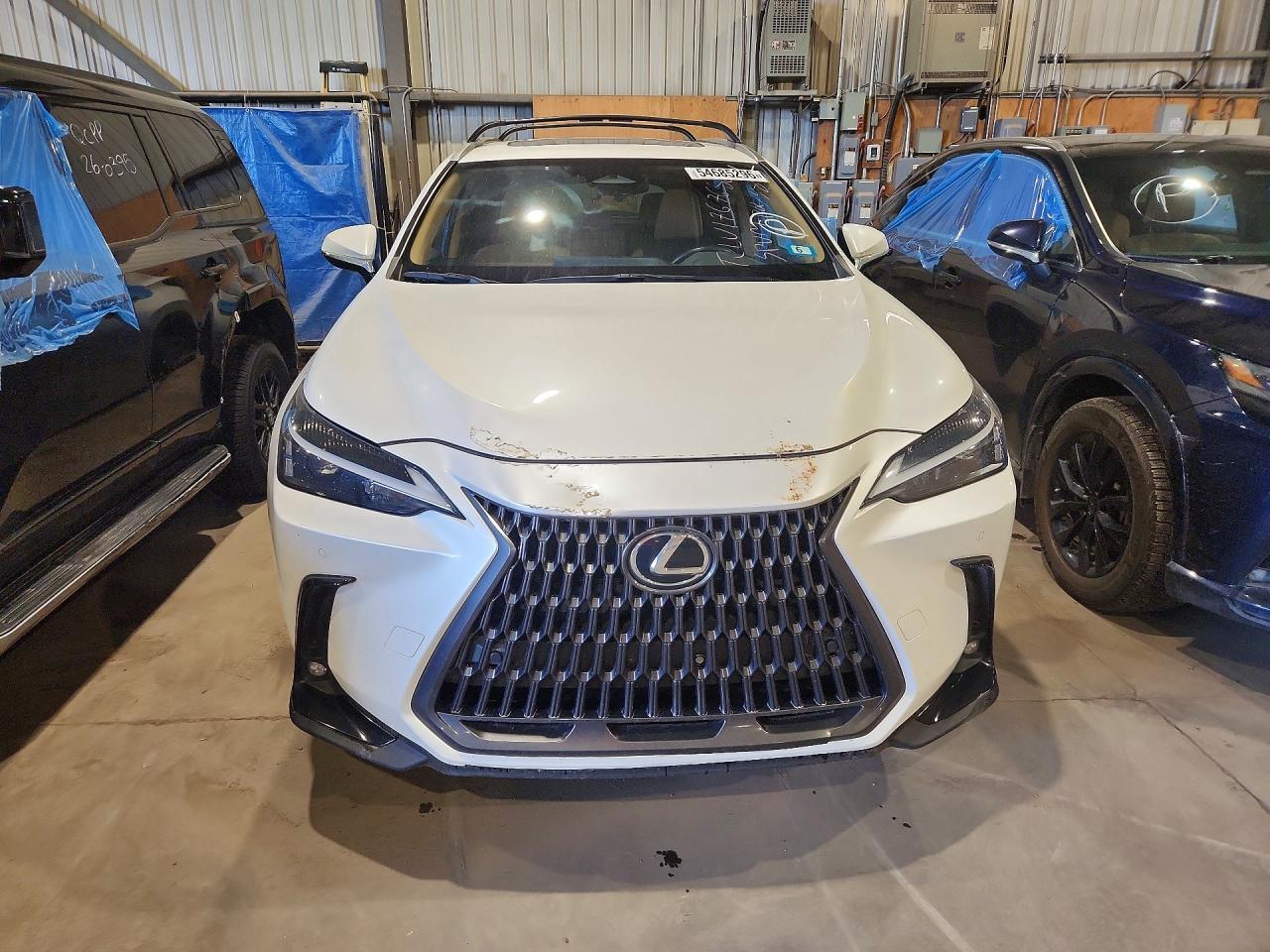 2024 Lexus Nx 350 Premium - zdjęcie 5