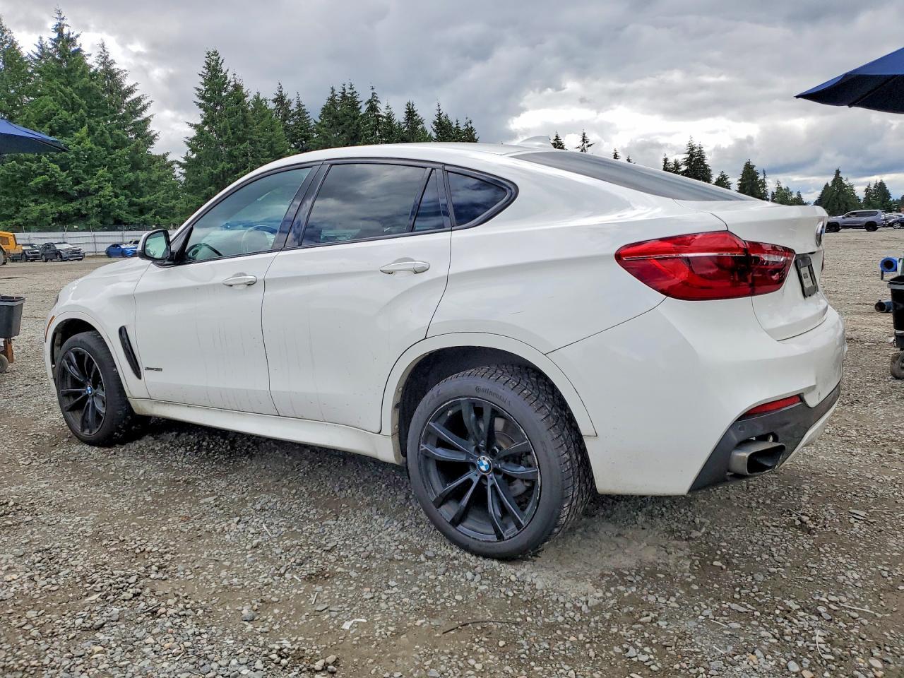 2018 BMW X6 xDrive35I - zdjęcie 2