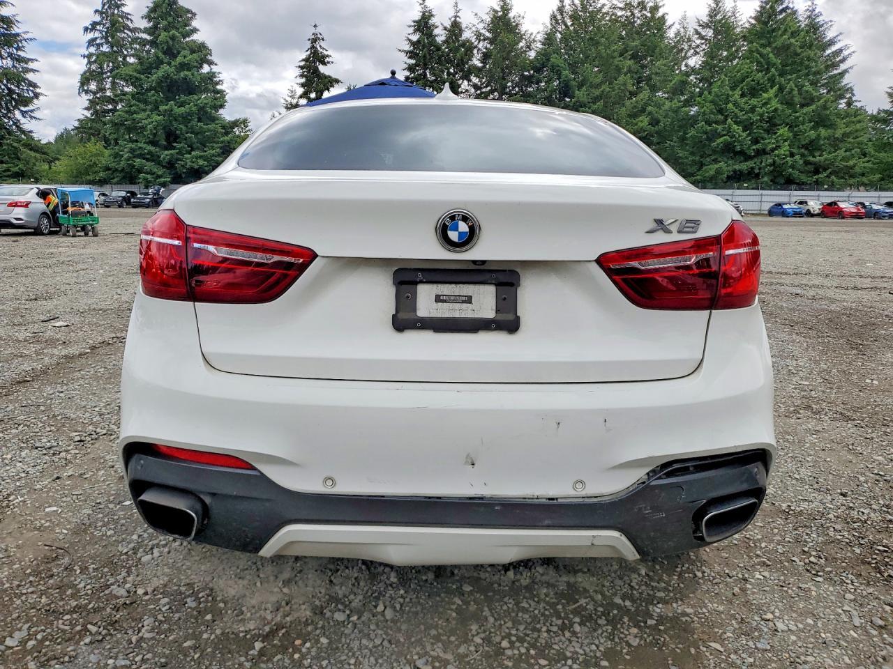 2018 BMW X6 xDrive35I - zdjęcie 6