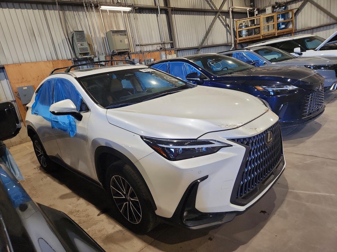 2024 Lexus Nx 350 Premium - zdjęcie 4