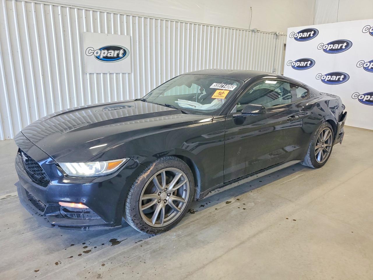 2017 Ford Mustang - zdjęcie główne