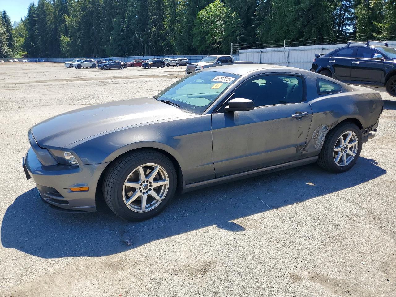 2014 Ford Mustang - zdjęcie główne