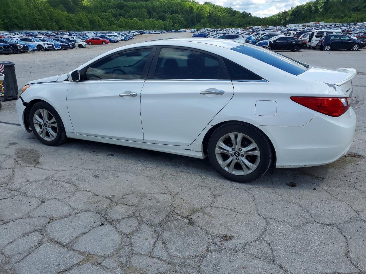 2013 Hyundai Sonata Limited - zdjęcie 2