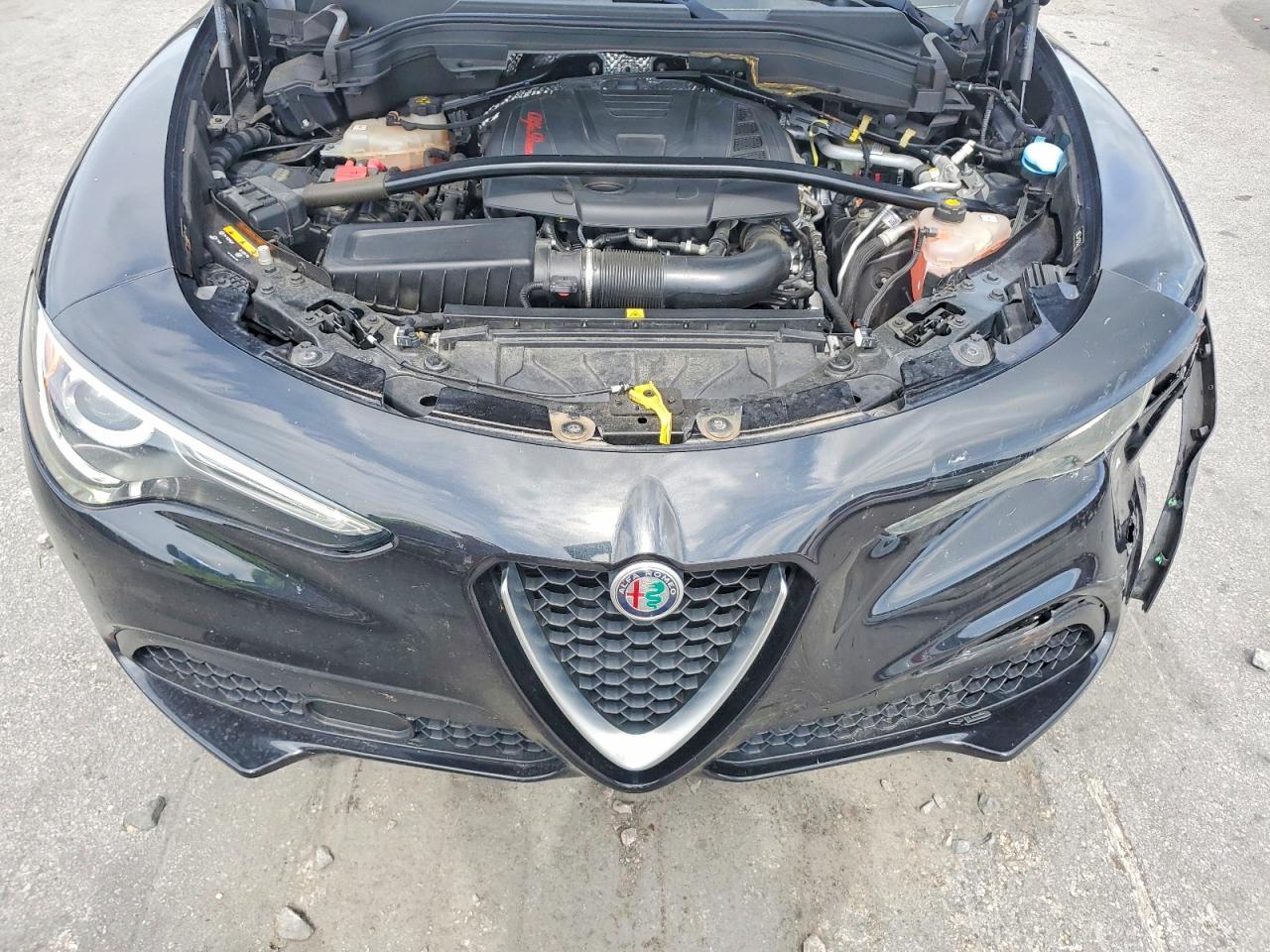 2019 Alfa Romeo Stelvio Ti - zdjęcie 12