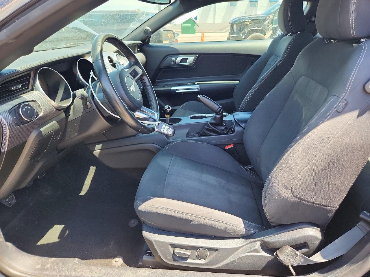 2019 Ford Mustang Gt - zdjęcie 7