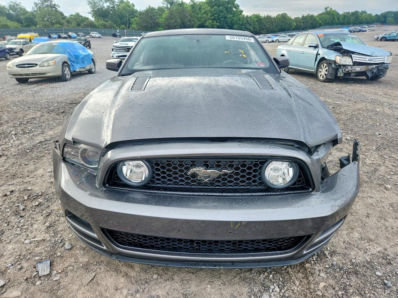 2014 Ford Mustang Gt - zdjęcie 5