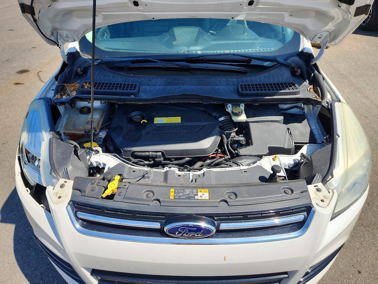 2013 Ford Escape Sel - zdjęcie 12
