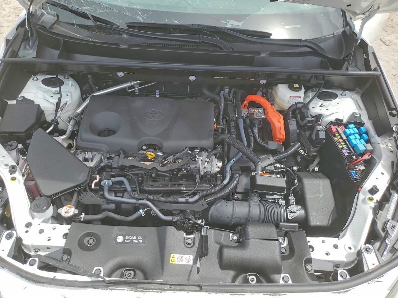 2025 Toyota Rav4 Le - zdjęcie 12